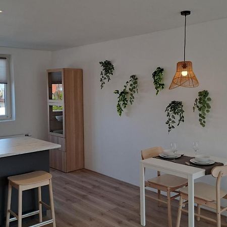Appartement Aan Zee نوردفيك المظهر الخارجي الصورة